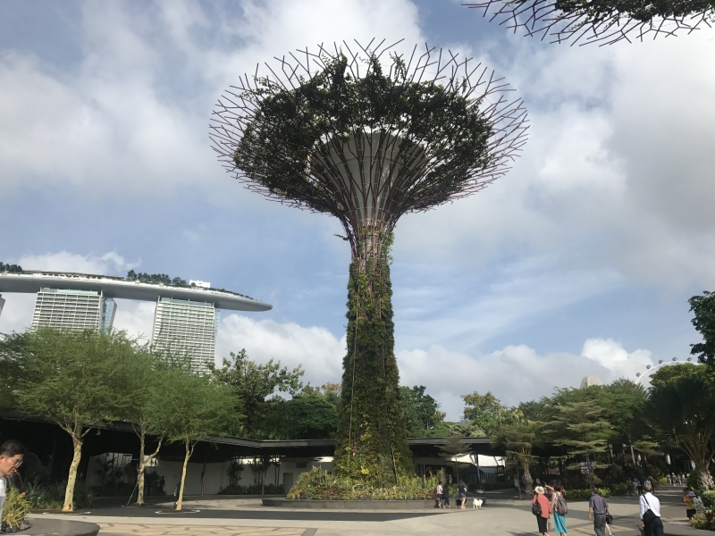 南洋理工大学硕士研究生一年多少钱