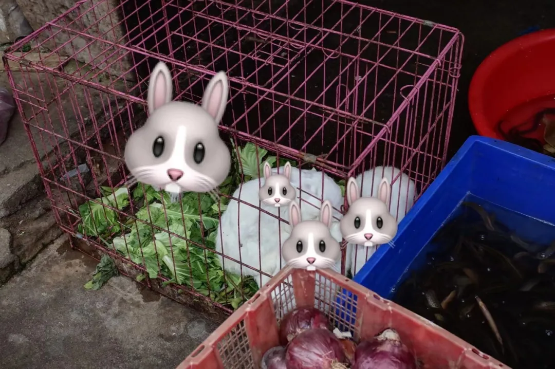 飘了,反套路的“硬核市集”给我找到了