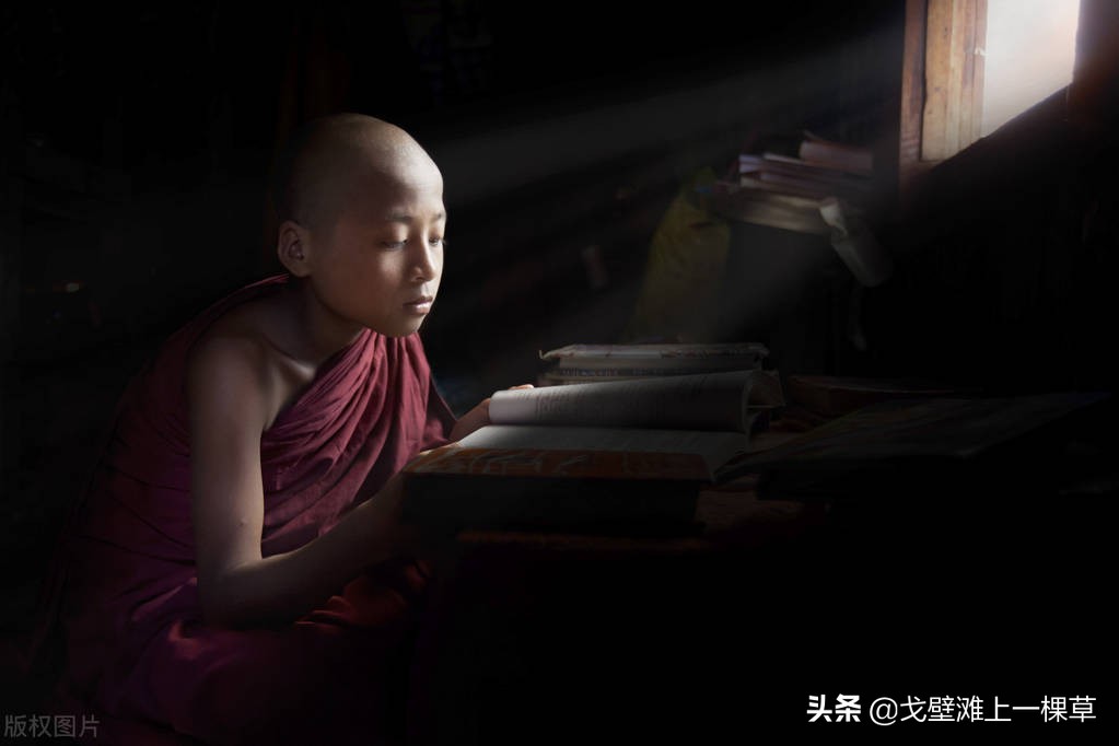 活佛的转世和成长，藏传佛教小知识