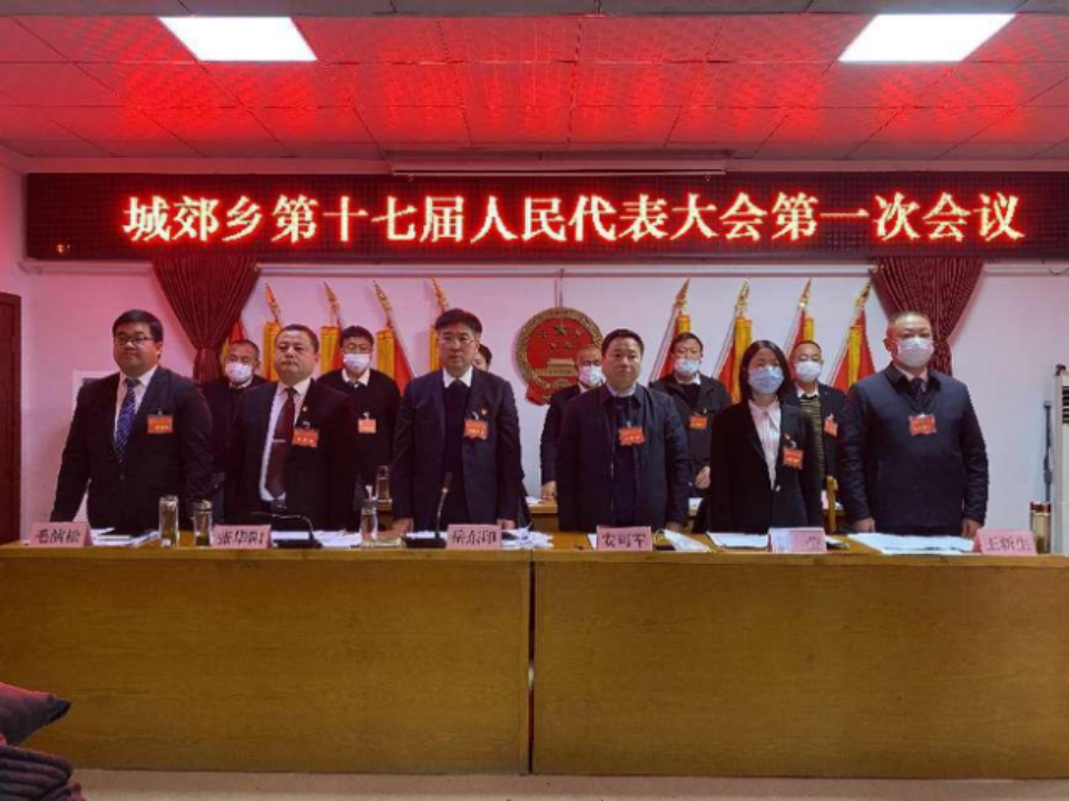 东风浩荡满目春 只争朝夕启新程 ——桐柏县城郊乡：第十七届人民代表大会第一次会议胜利召开