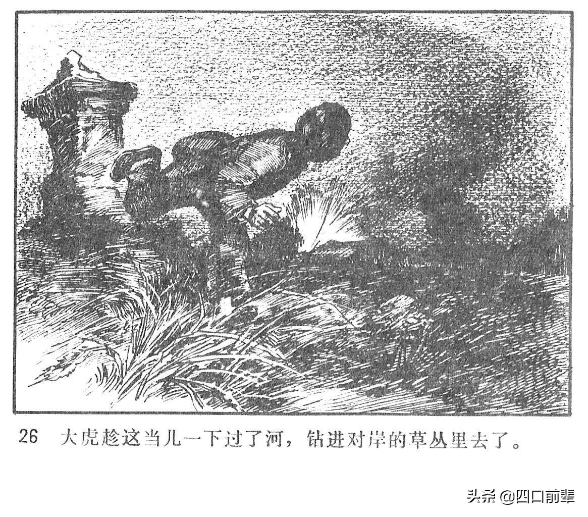 大虎和二虎 天津人民美术出版社 四口前辈 连环画 80后的回忆