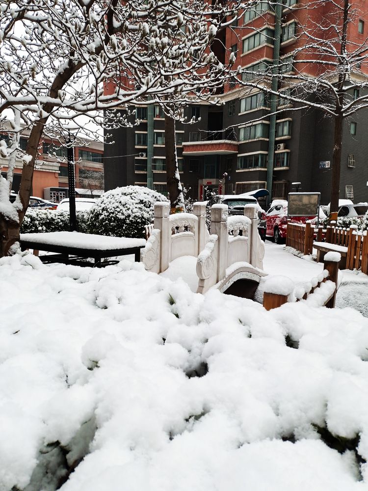 一场雪，让这里的春天真美 摄影/诗文：李武兵