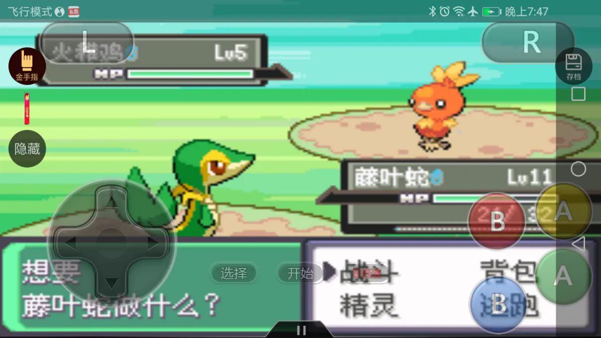 口袋妖怪 漆黑的魅影5.0EX+BW攻略