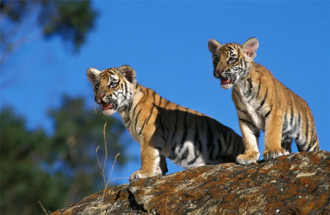 56范文（高中） | 正确的三观才是写作的方向