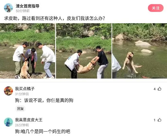 “本人姓连，宝宝快出生了该起个什么名字？”这届网友太坏了