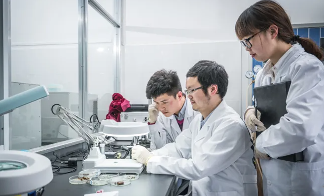 研究生迎来“新调整”，多所高校学费上涨，吓退不少寒门学子