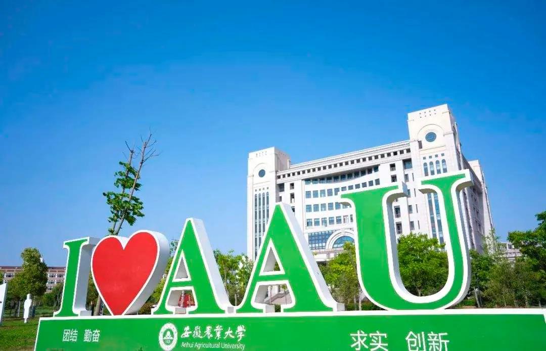 安徽农业大学理学院（继两千亩新校区）