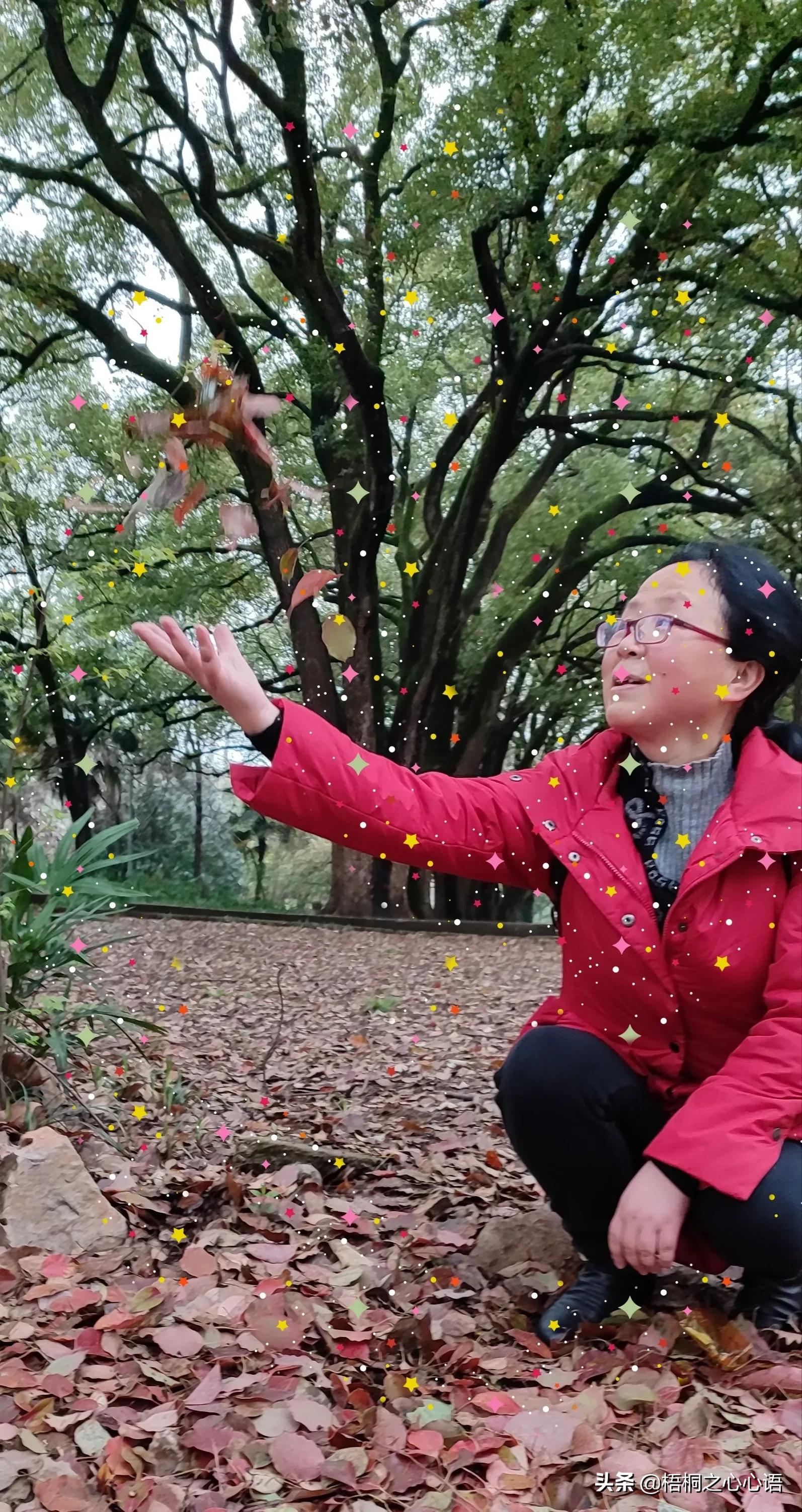 去年樱开时，那些漫妙记忆，此生许没再见时，存此让友情天长地久