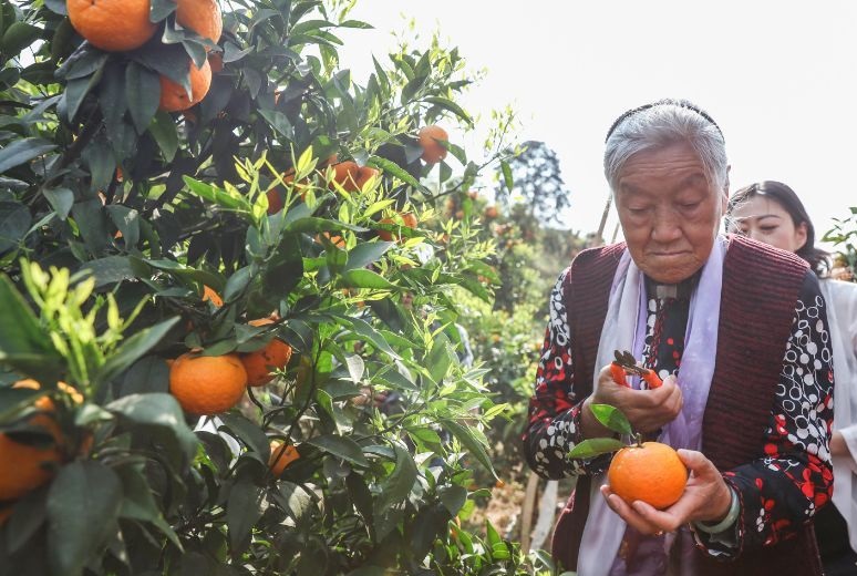 中国女富豪马静芬：坐牢、丧女、患癌，70岁创业，86岁身价过亿