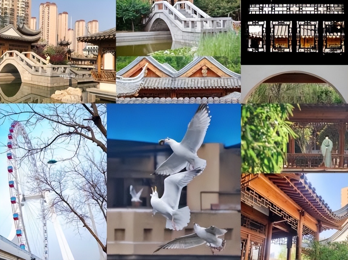 16区都有！天津踏青景点大汇总！别再说天津没什么好玩的了！(上)