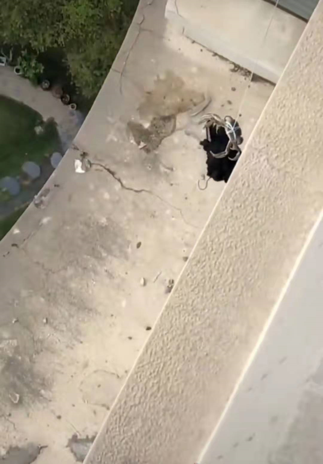 衣服被风吹落阳台，男子用绳子吊着大闸蟹夹起，网友：放生它