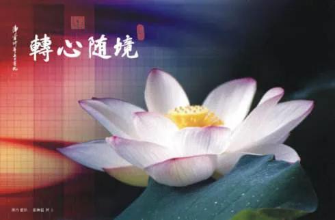 如何安慰一个需要温暖的人