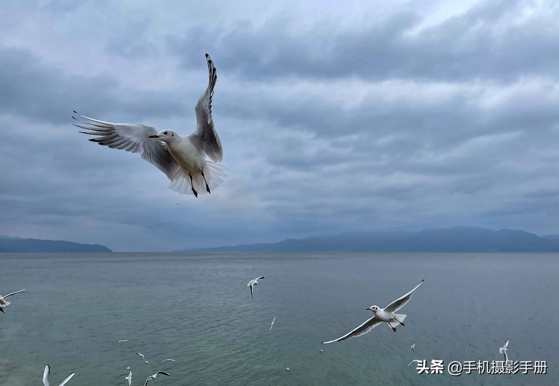 有风景，有摄影，还有爱人相随——我的2021年终盘点