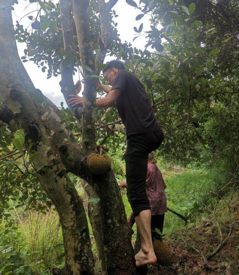 “高考钉子户”：复读12年只为上清华，33岁的他还要再战