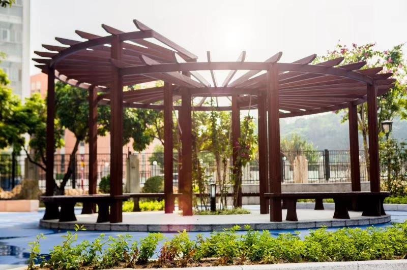 廣州市南沙第一中學(xué)：我在豐澤東路的日子(圖23)