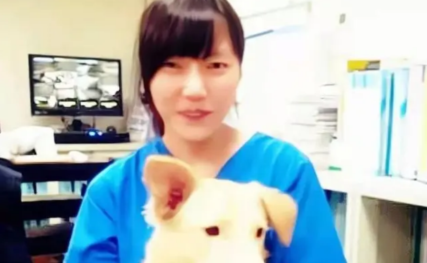 2016年，台湾女孩给700只狗安乐死后，将最后一针给了新婚的自己