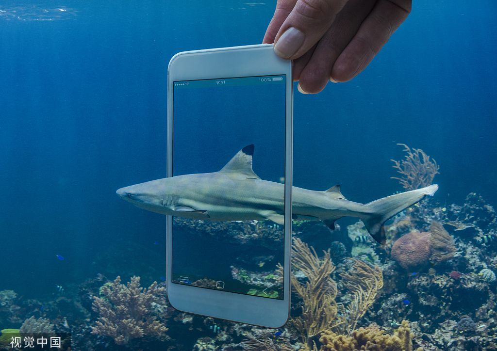 广东未来科技：育民族品牌，创世界领先