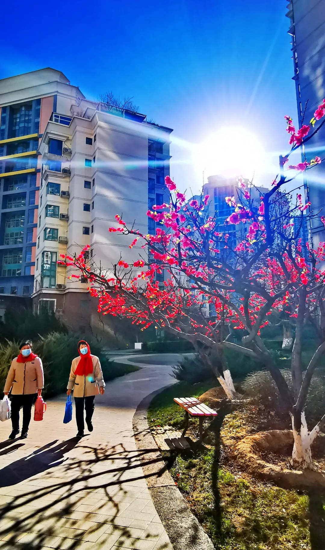 彩色旅图·萌拍｜2021年的太阳 迎接2022年的朝霞：有爱，哪里都亮