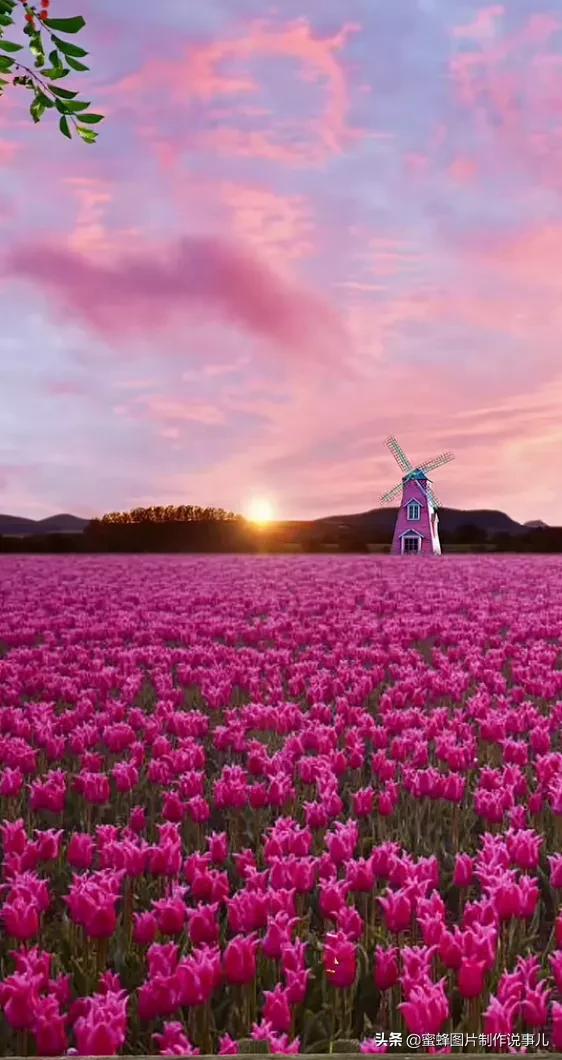 壁纸美图,自然美景如诗如画