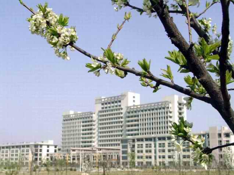 这所来自山东的医学院，临床医学专业招生断档，狂跌6万位