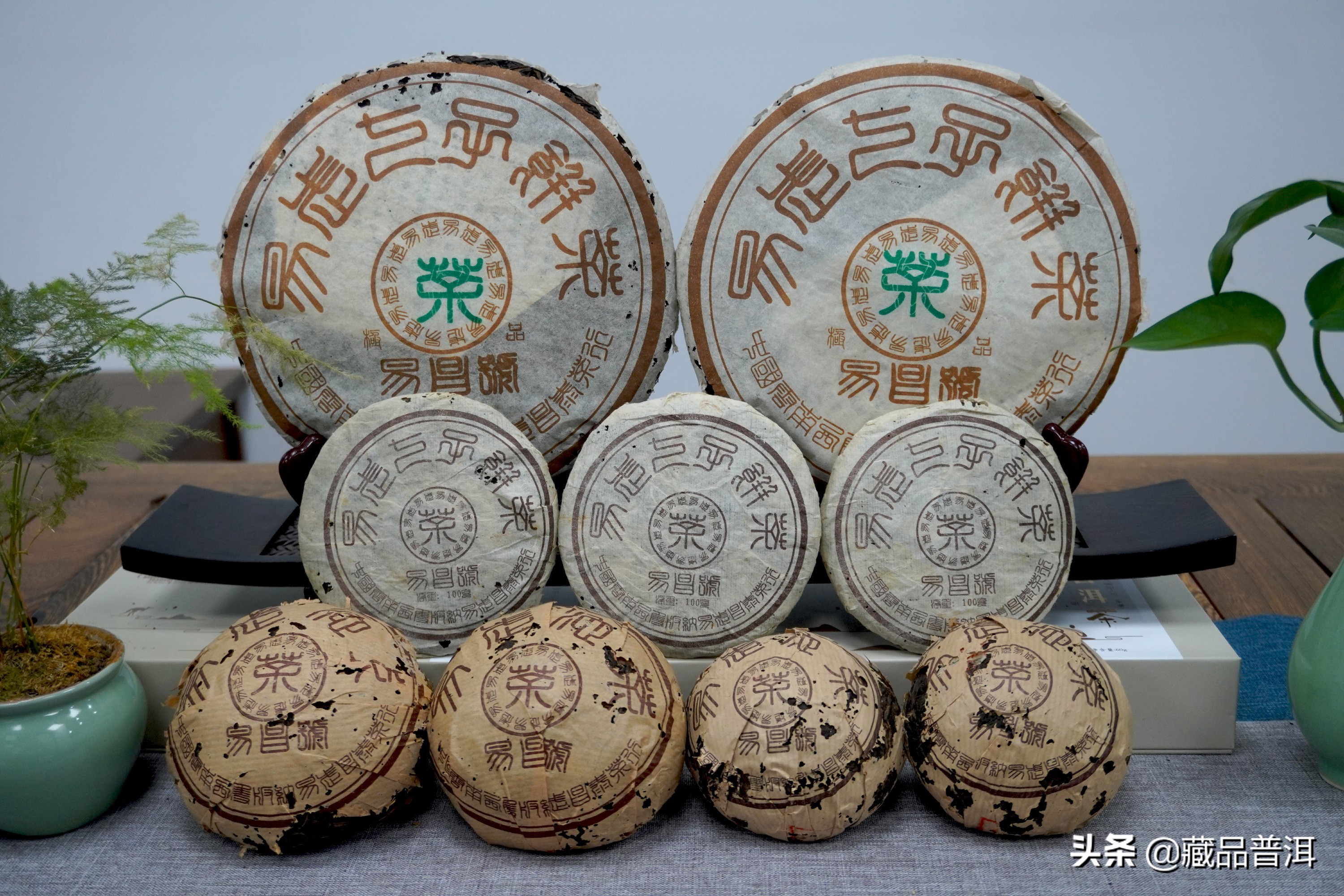 盘点普洱茶知名老品牌，昌泰、兴海、八角亭，大起大落，兴衰变迁