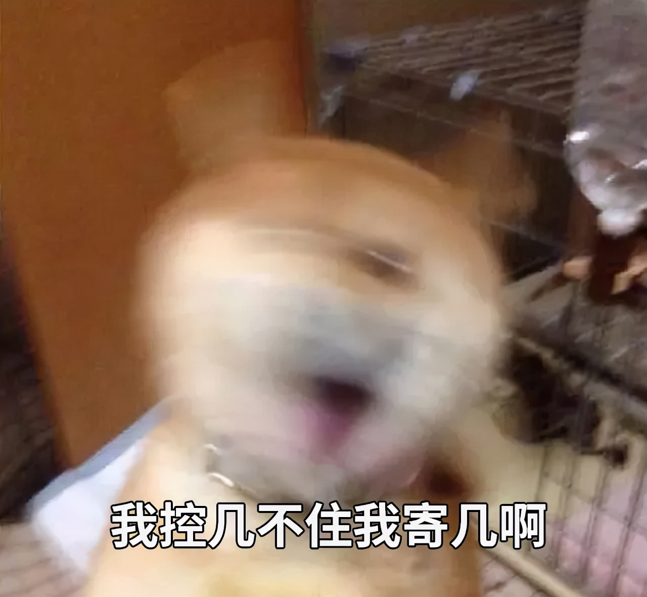 这个每天都做的姿势，竟能让脊柱变形？吓得我赶紧坐直了