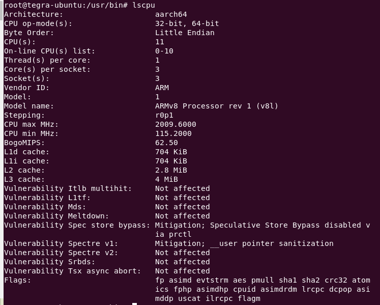 XPU Performance Test