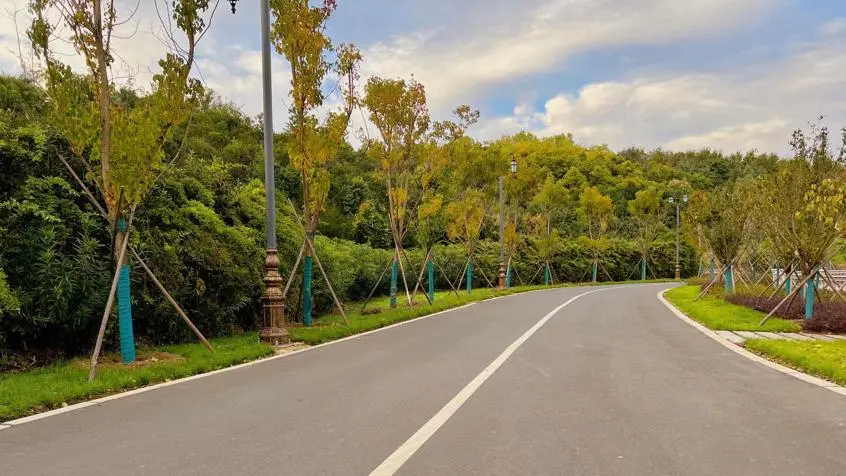 优微推荐丨努力尽今夕，少年犹可夸