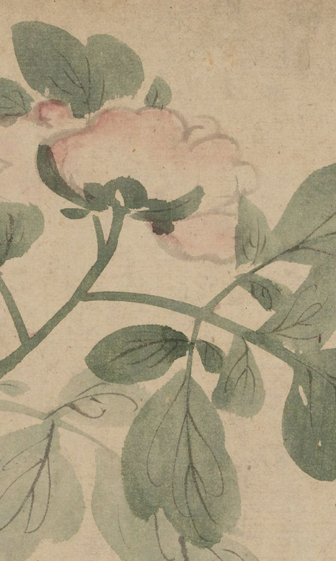 明陈淳牡丹诗画卷鉴赏