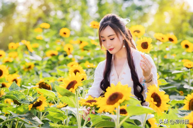 向日葵花開正當(dāng)時(shí)，3個(gè)方法提升人像攝影品質(zhì)，照片清新又唯美