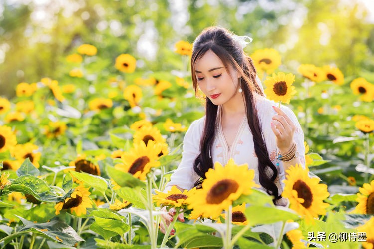 向日葵花开正当时，3个方法提升人像摄影品质，照片清新又唯美