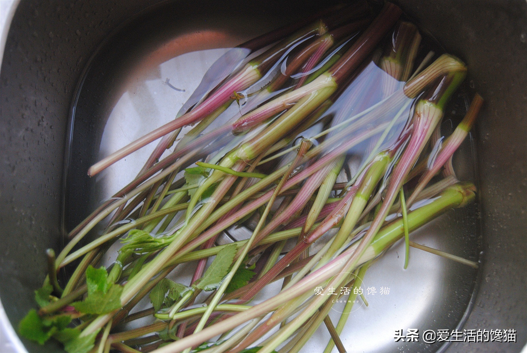 芹菜炒腊肉的做法（手把手教你做鲜嫩爽口的炒腊肉）