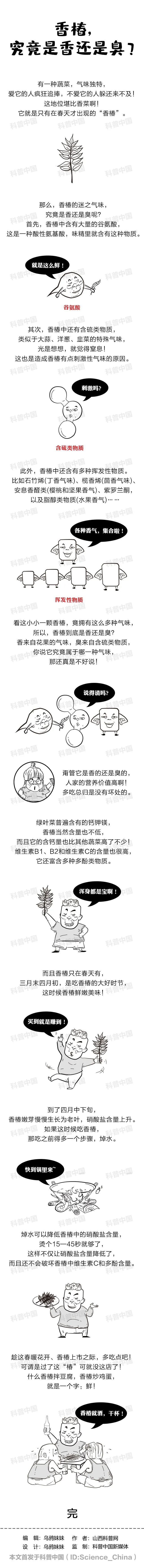 讓人又愛又恨的香椿，究竟是香的還是臭的？