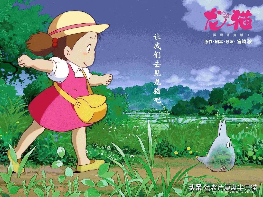 为什么大人们看不见《龙猫》?快乐的背后是一个残酷的世界