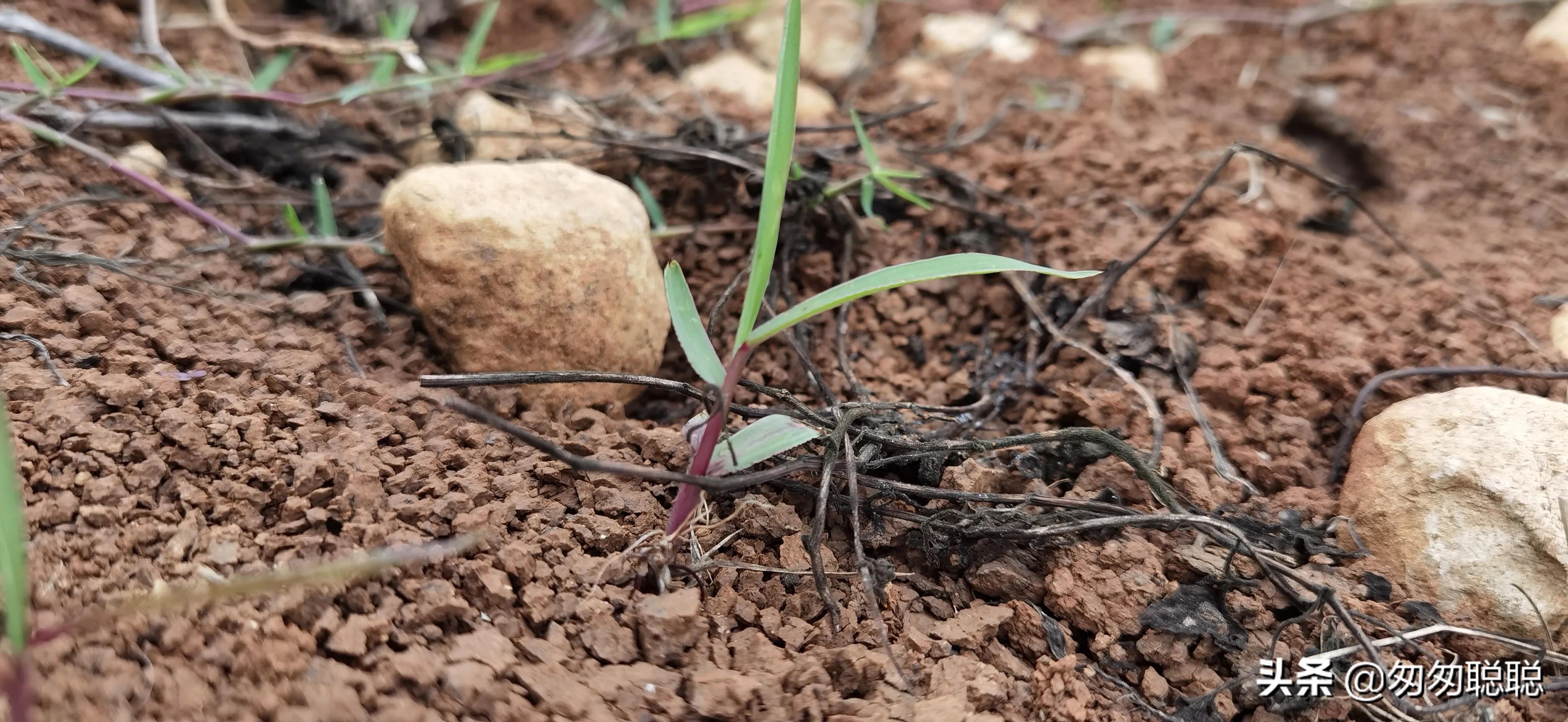 45岁住家女保姆：月薪6000，却要求每天洗澡洗头，太过分了