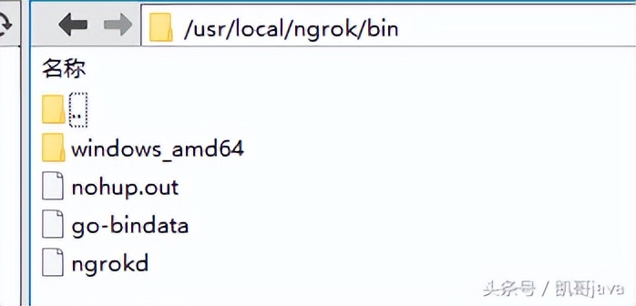 內(nèi)網(wǎng)穿透利器-ngrok的圖文安裝
