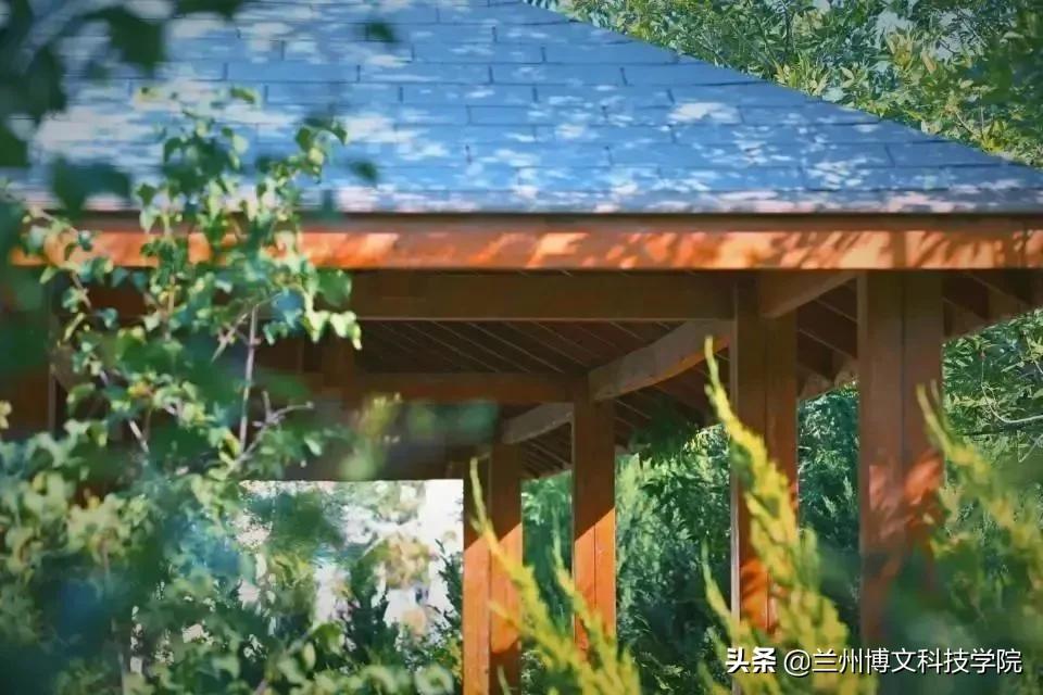 兰州博文科技学院2022年招生简章