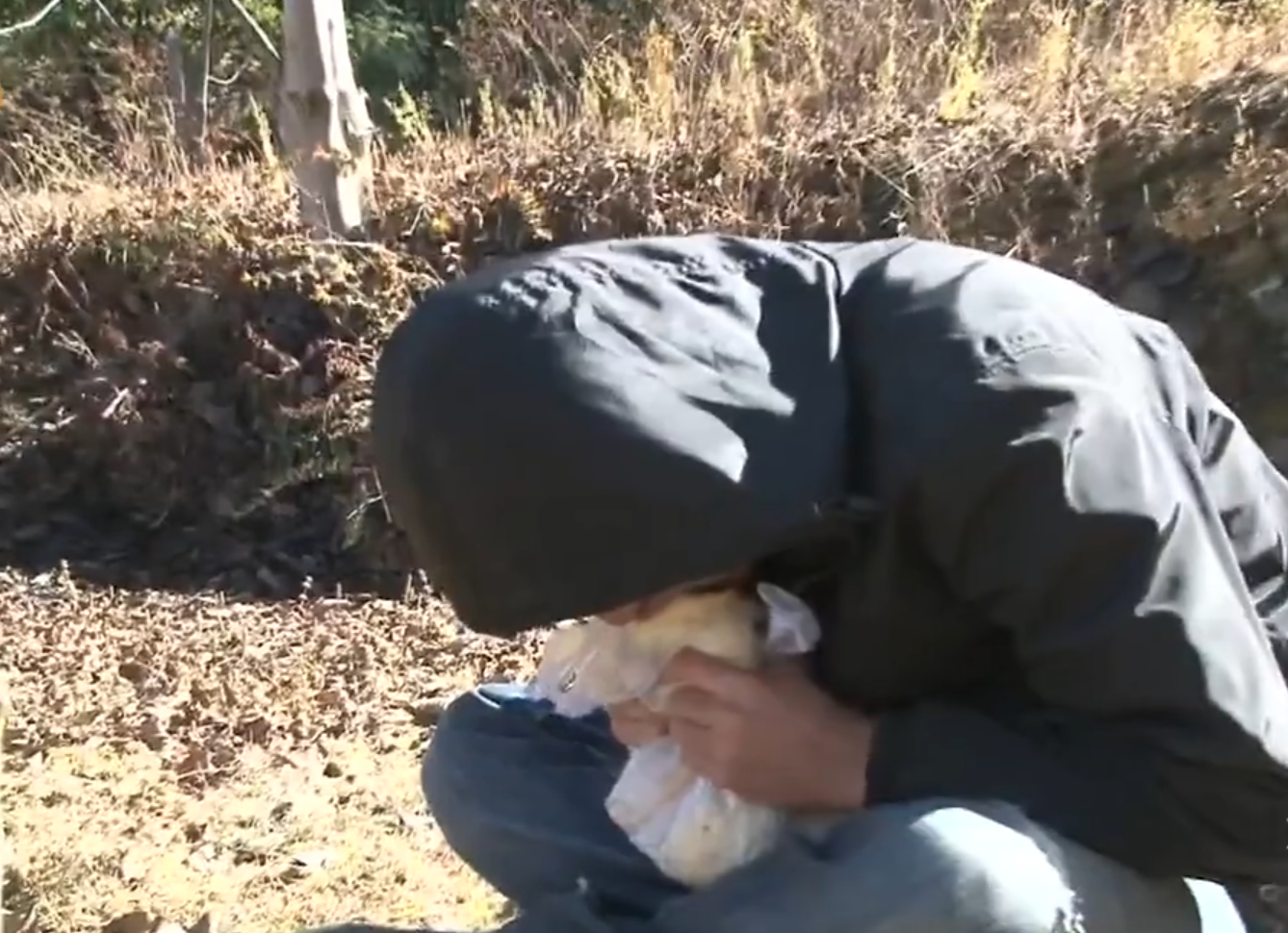 河南16岁富二代：从不吃青菜，有钱才看书，喜欢追着生活老师打