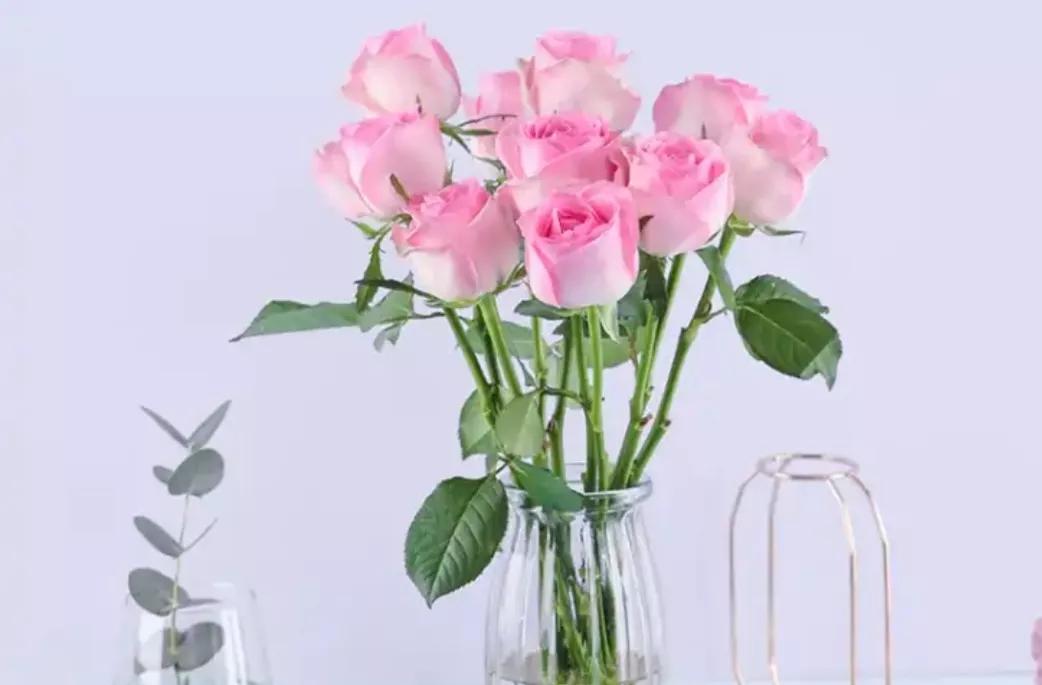 《增广贤文》中有关处世态度的10句话