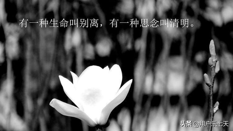 温暖回忆：爱奶奶的那些美好时光与深情往事