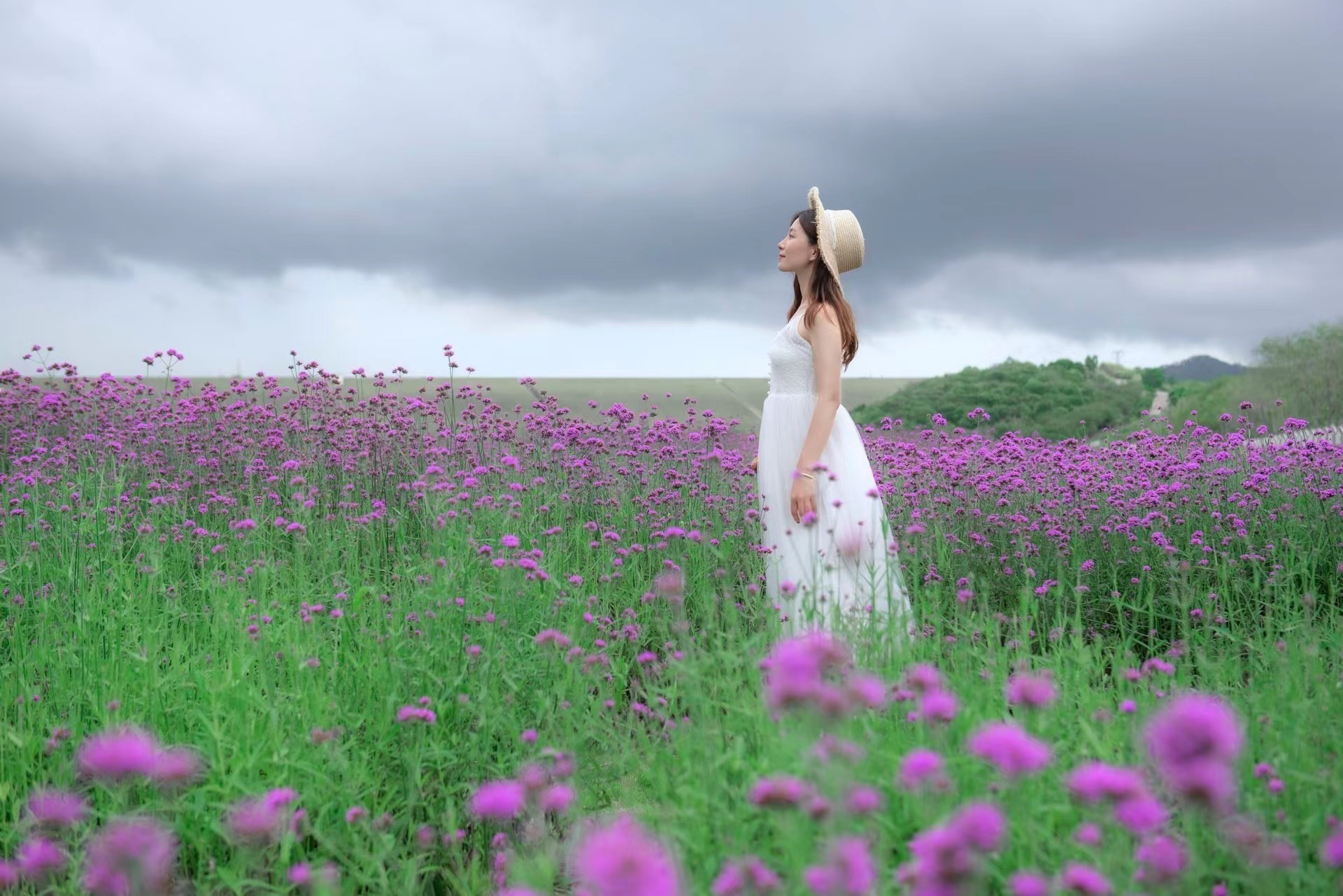 關於拍照的唯美句子(唯美浪漫的馬鞭花人像怎麼拍) - 火句子