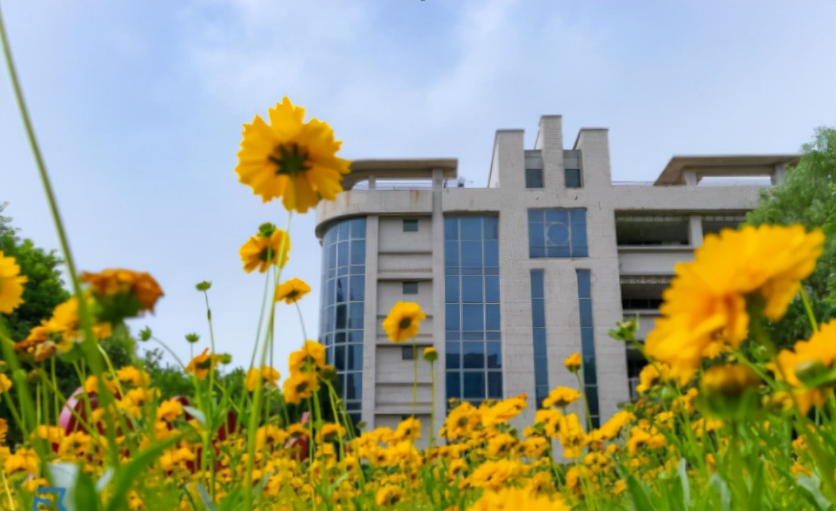 陕西最“国际范”大学：5年豪掷650余万，资助上千学生出国学习