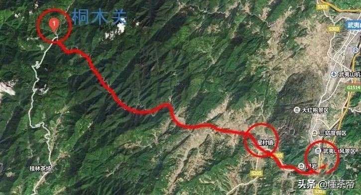 我國(guó)四大頂級(jí)紅茶，你都喝過(guò)哪一款？