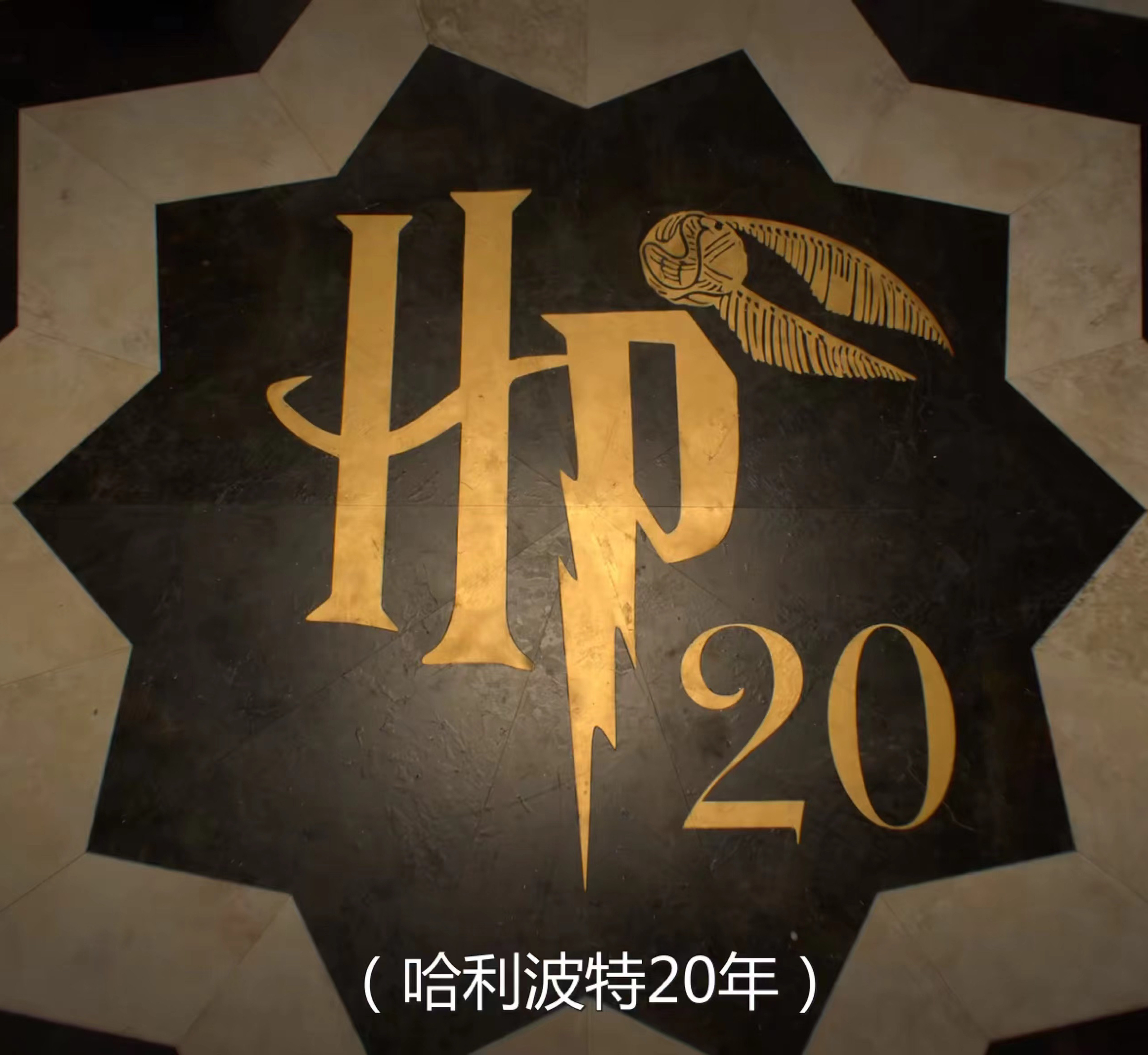 《哈利波特》配角发展不输主角，有人演蝙蝠侠，有人成奥斯卡影帝