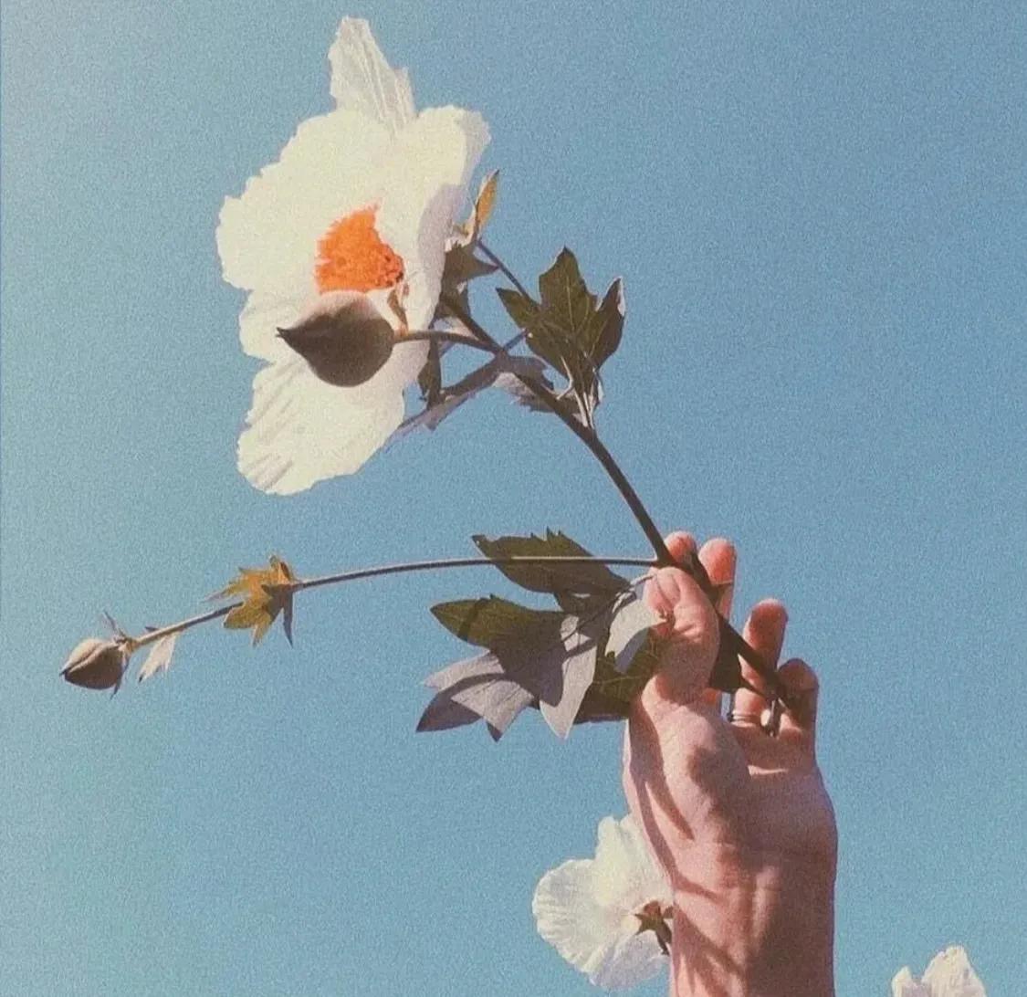 现在多流汗｜青春才能不留遗憾