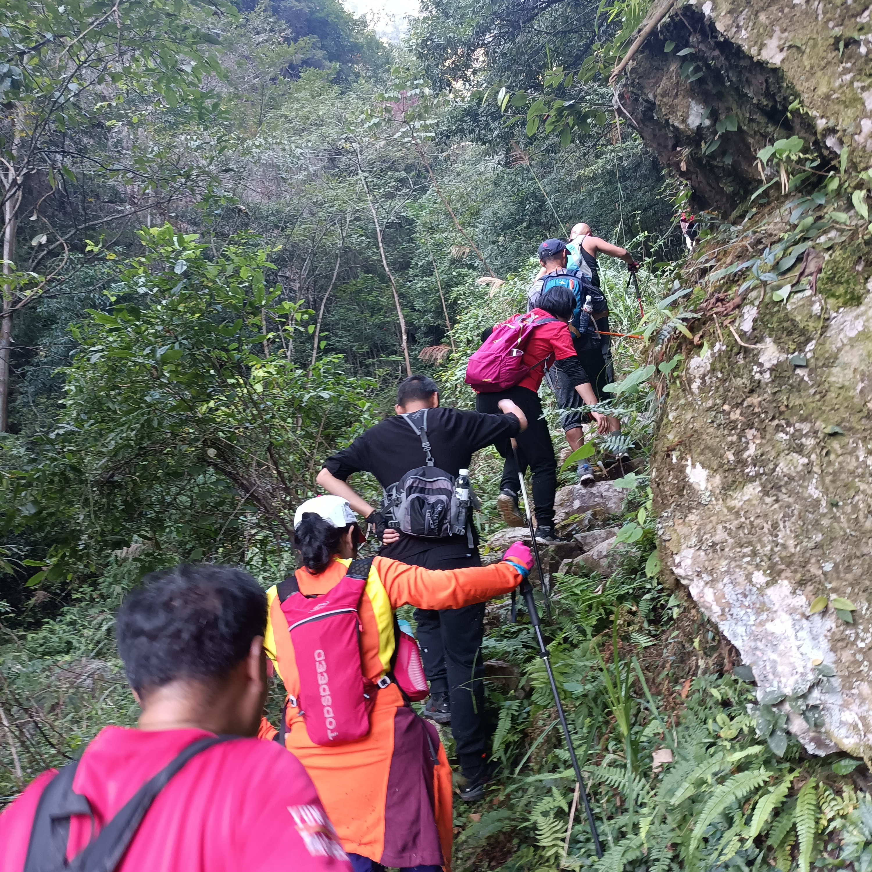 「贵州Discovery」到紫林山去！伸手就能抓住彩虹