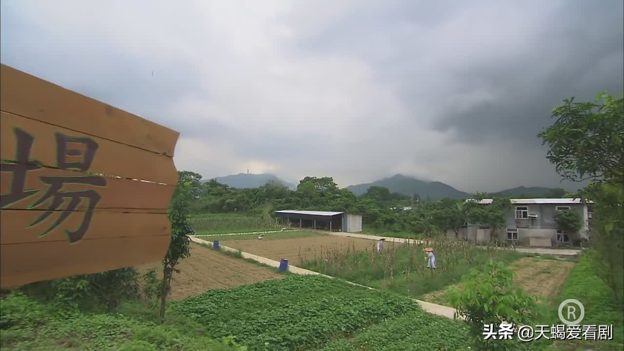 《仁心解码2》，痴情女子迷恋邪教教主，被骗财骗色万劫不复