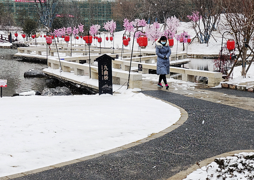 雪游九洲池