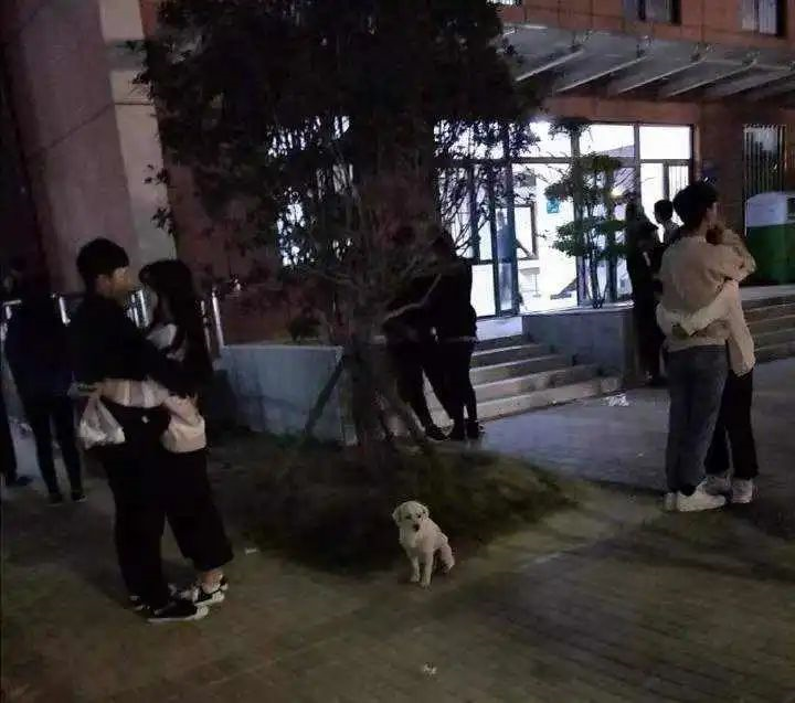 女寝楼下的这一行为，被不少大学生列入“黑名单”，当事人很委屈