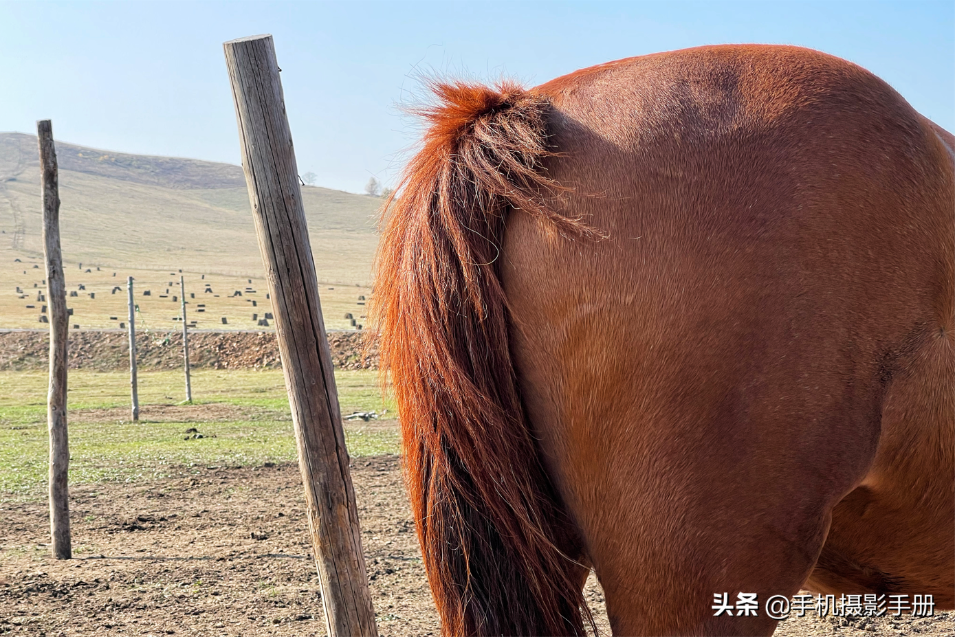 有风景，有摄影，还有爱人相随——我的2021年终盘点